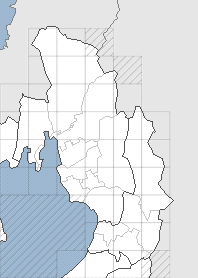 �y���ЊQ�~�J�댯�x