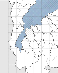 �y���ЊQ�~�J�댯�x