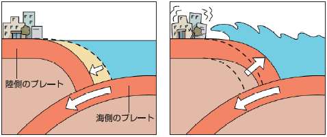 海溝型（プレート境界型地震）